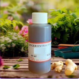 Ginger Extract 60ml